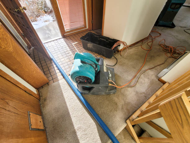  Forest Meadows, CA Water damage restoration Pros